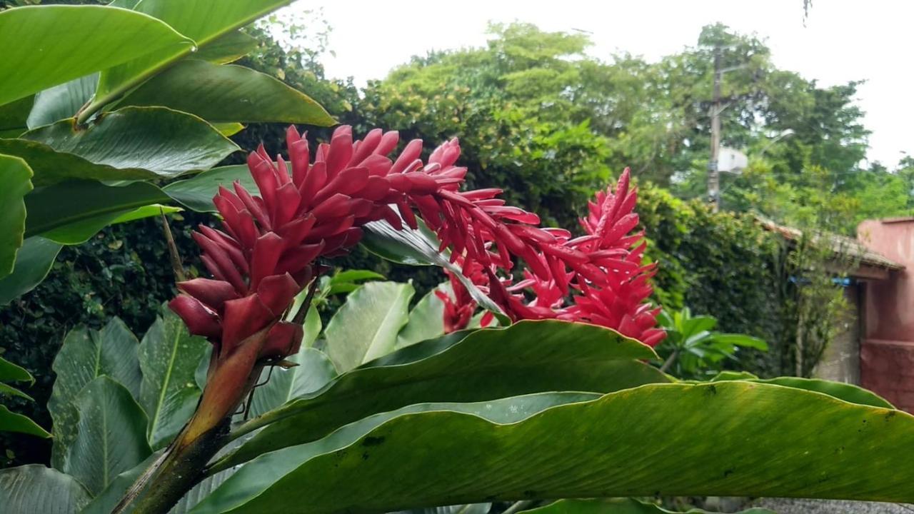 Suites Cocaia Ilhabela Exterior photo